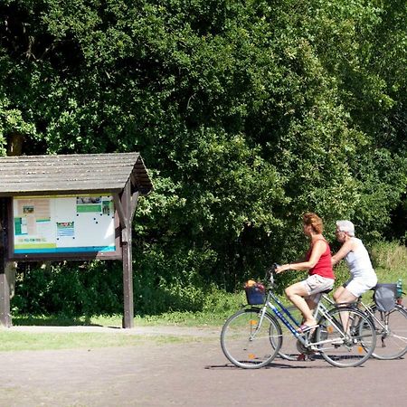 Appartementen - Bungalowpark Mooyeveld - Uniek Gelegen In De Duinen! エグモント・ビネン エクステリア 写真