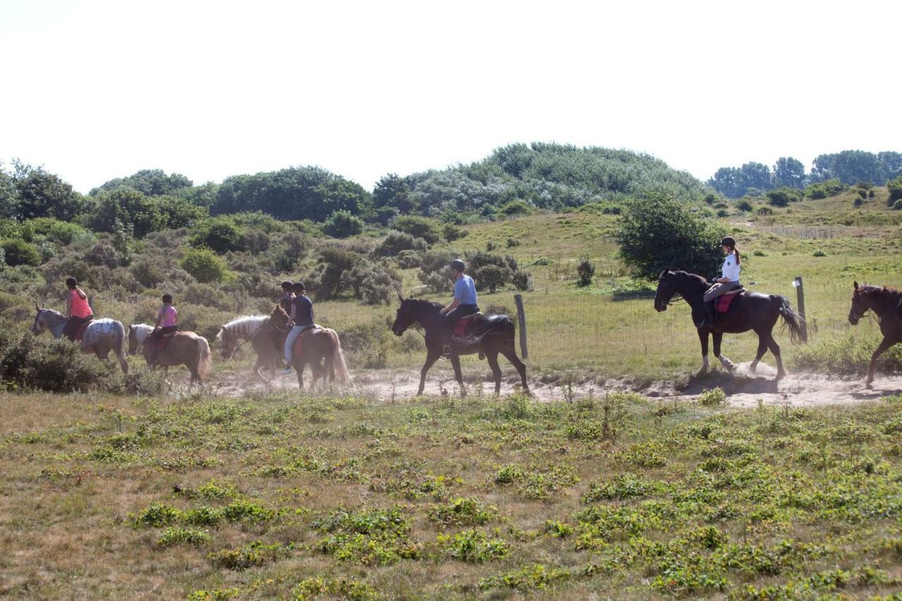 Appartementen - Bungalowpark Mooyeveld - Uniek Gelegen In De Duinen! エグモント・ビネン エクステリア 写真