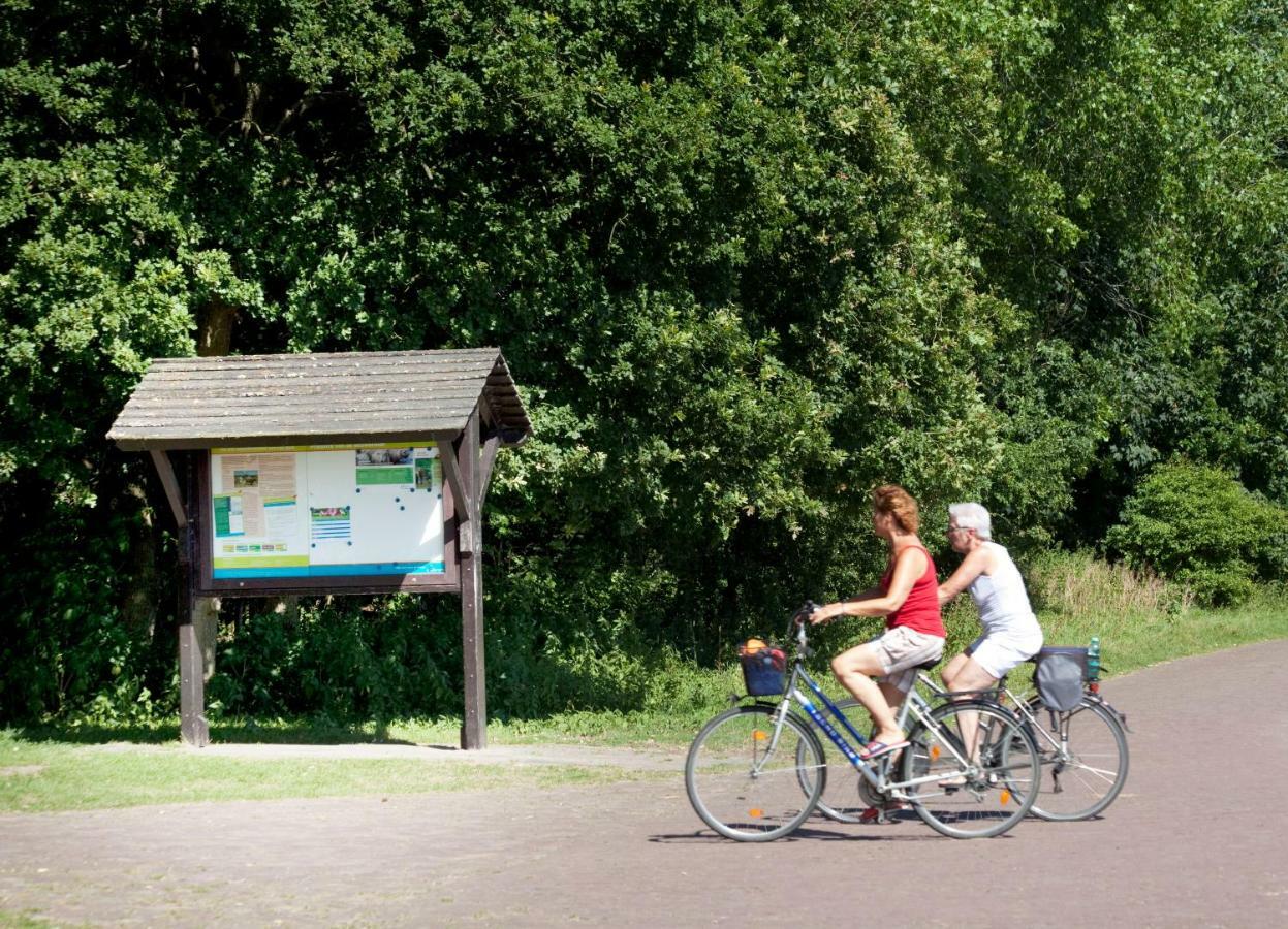 Appartementen - Bungalowpark Mooyeveld - Uniek Gelegen In De Duinen! エグモント・ビネン エクステリア 写真
