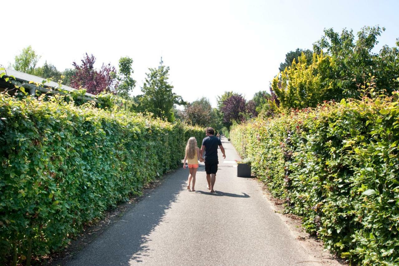 Appartementen - Bungalowpark Mooyeveld - Uniek Gelegen In De Duinen! エグモント・ビネン エクステリア 写真