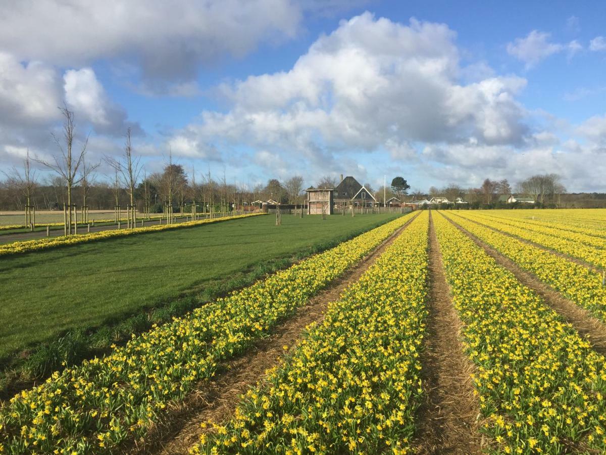 Appartementen - Bungalowpark Mooyeveld - Uniek Gelegen In De Duinen! エグモント・ビネン エクステリア 写真